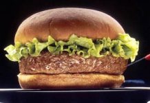 New Nordic Food broke boundaries and reaped success amongst game developers