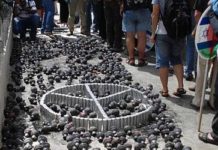 SV politician wants cuts in arms purchases from Israel