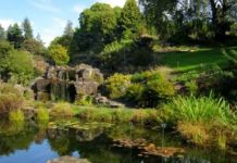 Enjoy Norwegian Spring in Oslo’s Parks