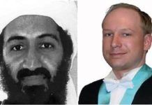 Both Bin Laden and Breivik are Terrorists