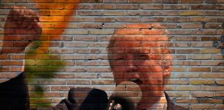 trump, president, america, politics, government, donald, presidential, republican, politician, trump, trump, trump, trump, trump