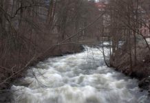 19,000 Liters of Oil into the River