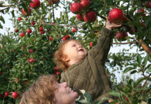 Norway Benefits from Climate Change