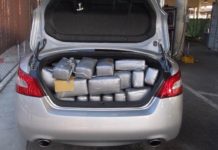 Record Increase in Drug Seizure on Norwegian Borders