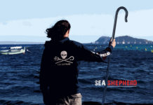 Sea Shepherd: Eco terrorists or the front line to protect social justice?