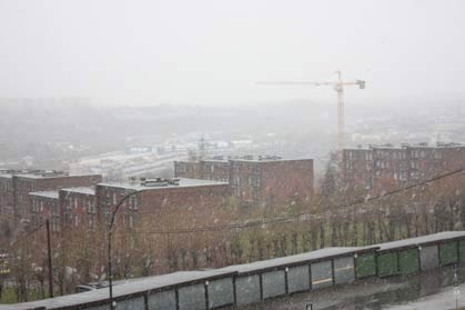 Snow in Oslo