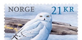 stamp from norway depicting a snowy owl