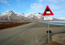 Norwegian land on sale, Chinese tycoon to bid